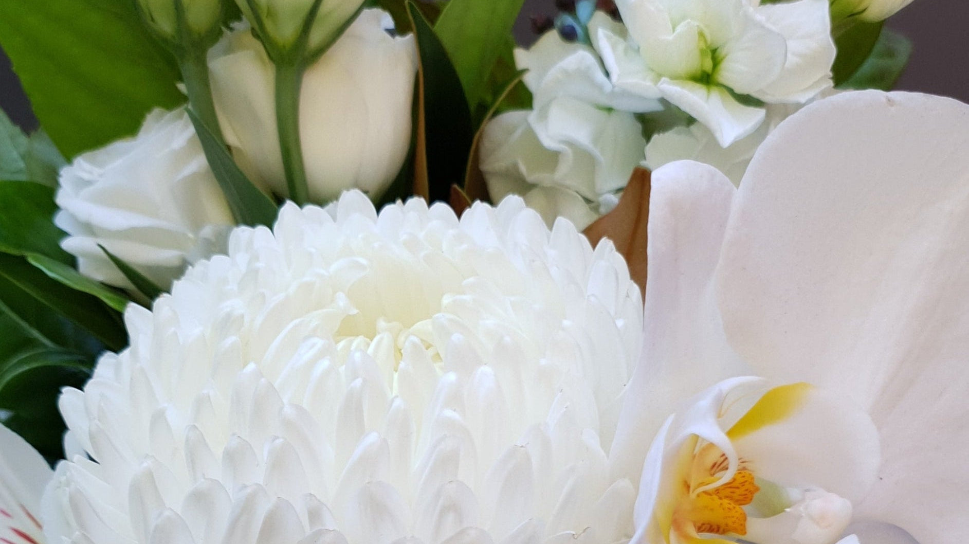 How to Choose Sympathy Flowers in Viewbank: A Compassionate Guide