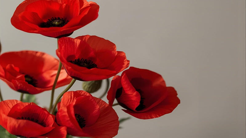 Why Remembrance Day 2025 Matters: Honouring Service, Sacrifice and Healing