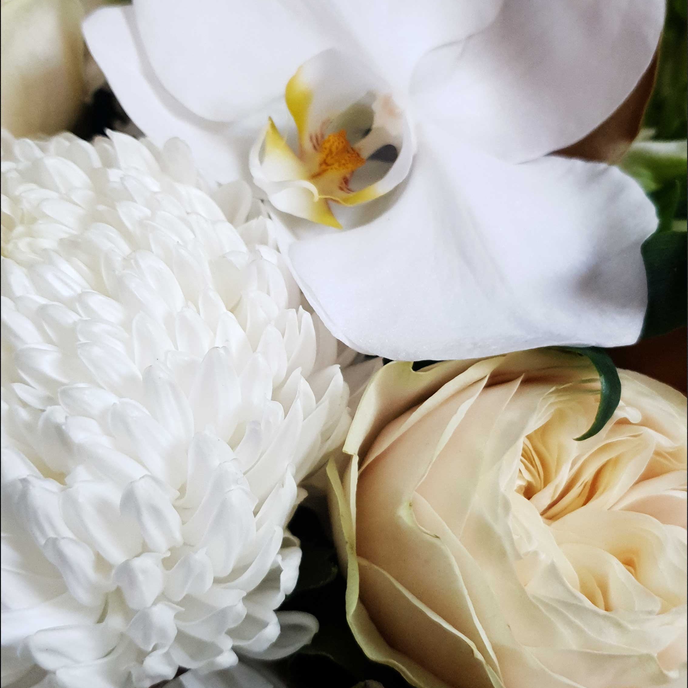 Blooms in Box - Ivy&TwigFlorist