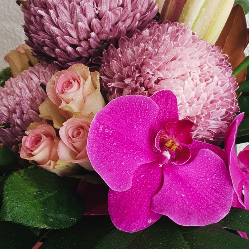 Blooms in Box - Ivy&TwigFlorist