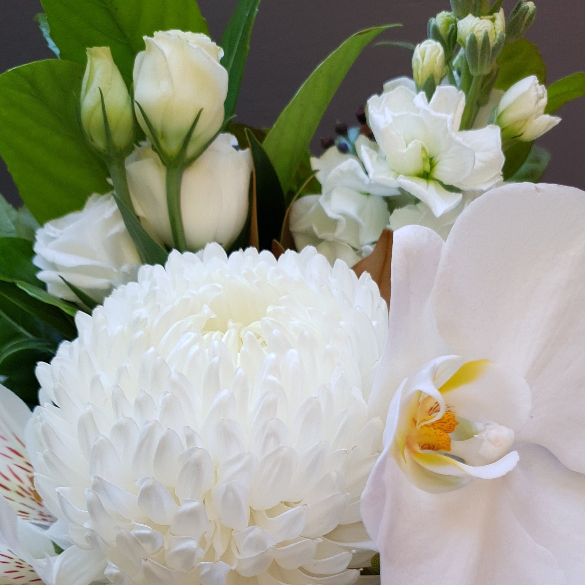 How to Choose Sympathy Flowers in Viewbank: A Compassionate Guide