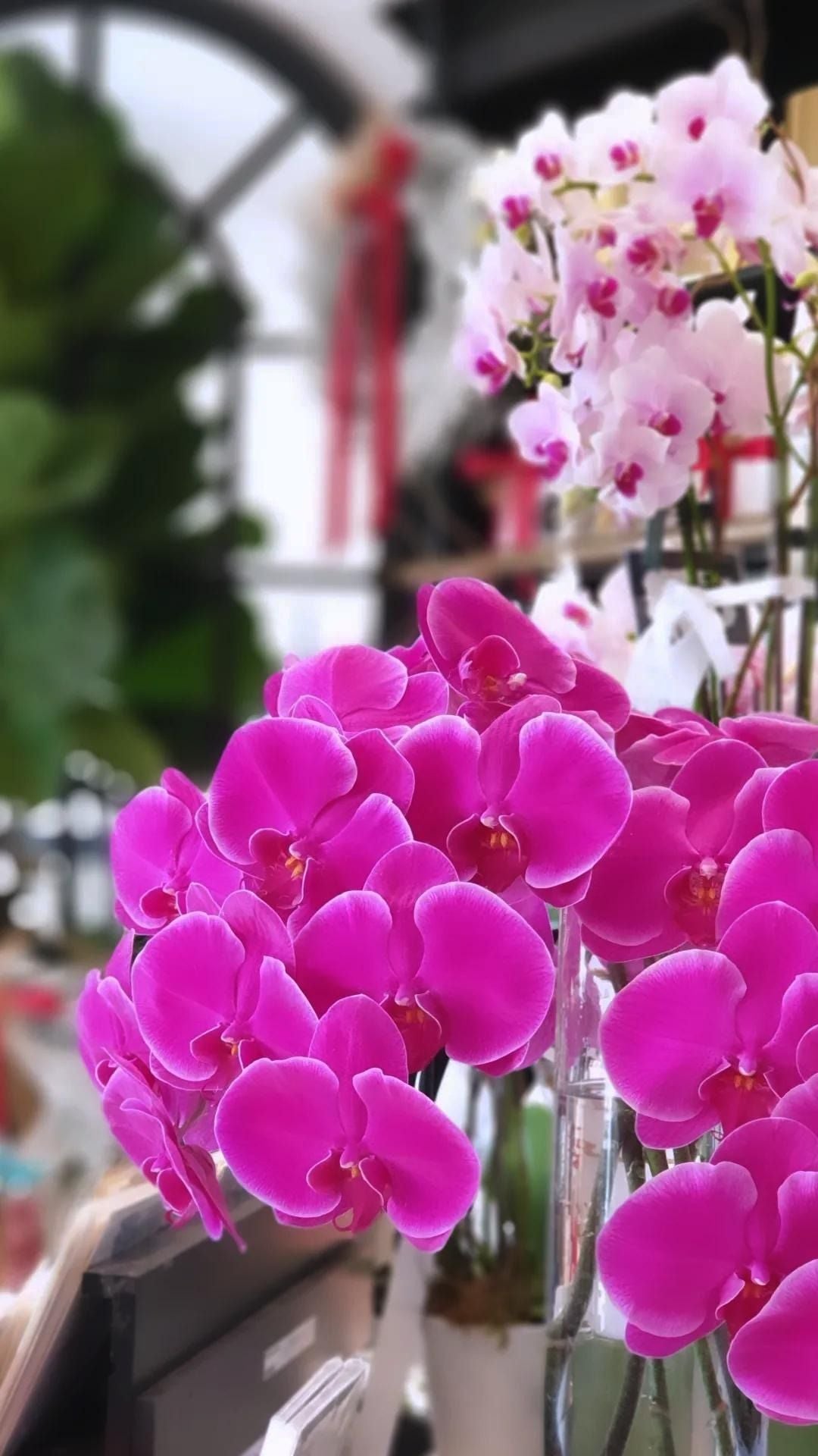 Easter Flowers and Gifts to Brighten Every Basket – Beautiful Blooms from Florist Macleod