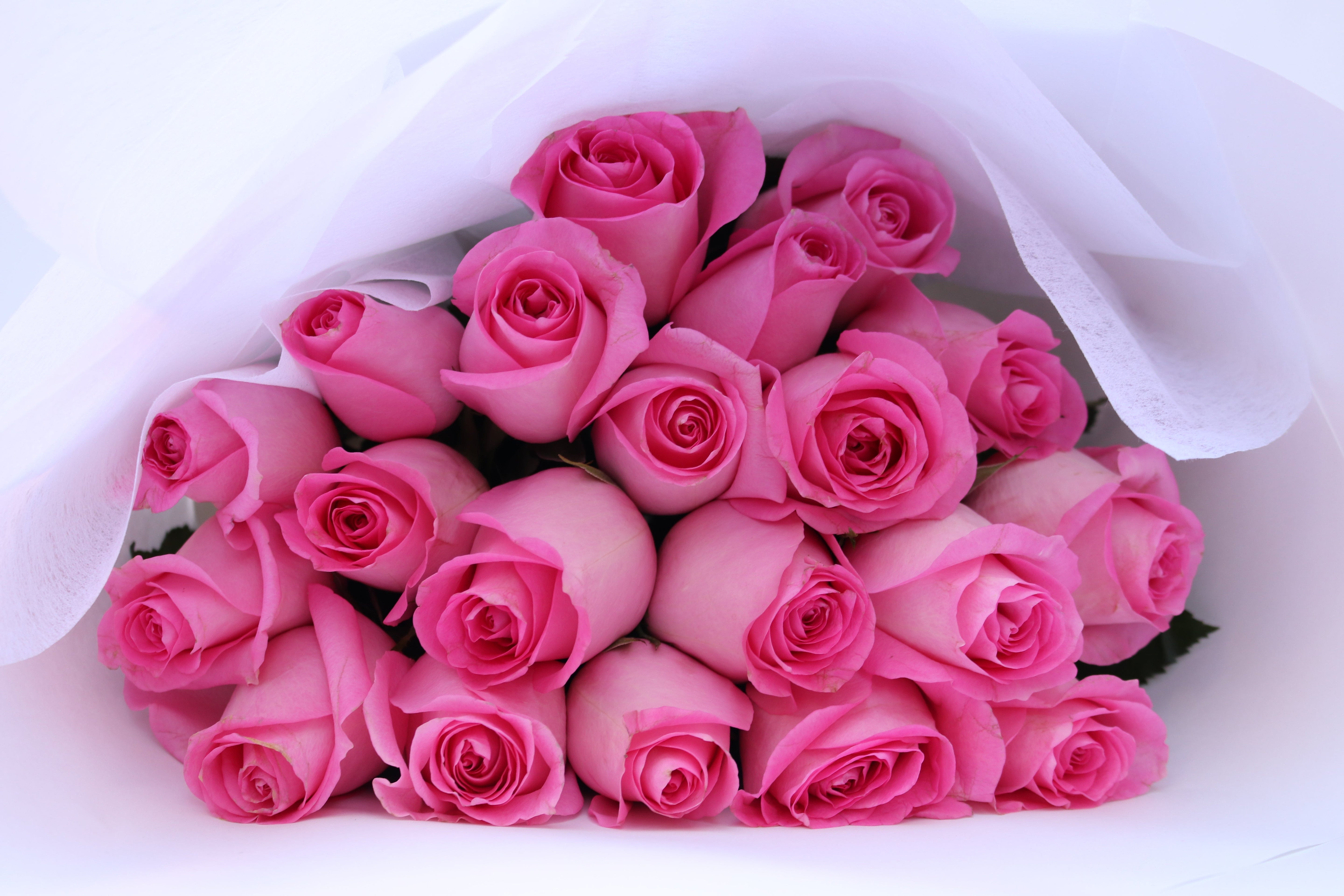 Fresh, Local & Meaningful: Why Mother’s Day Flowers Macleod Make the Perfect Gift
