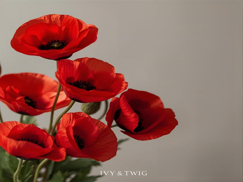 Why Remembrance Day 2025 Matters: Honouring Service, Sacrifice and Healing