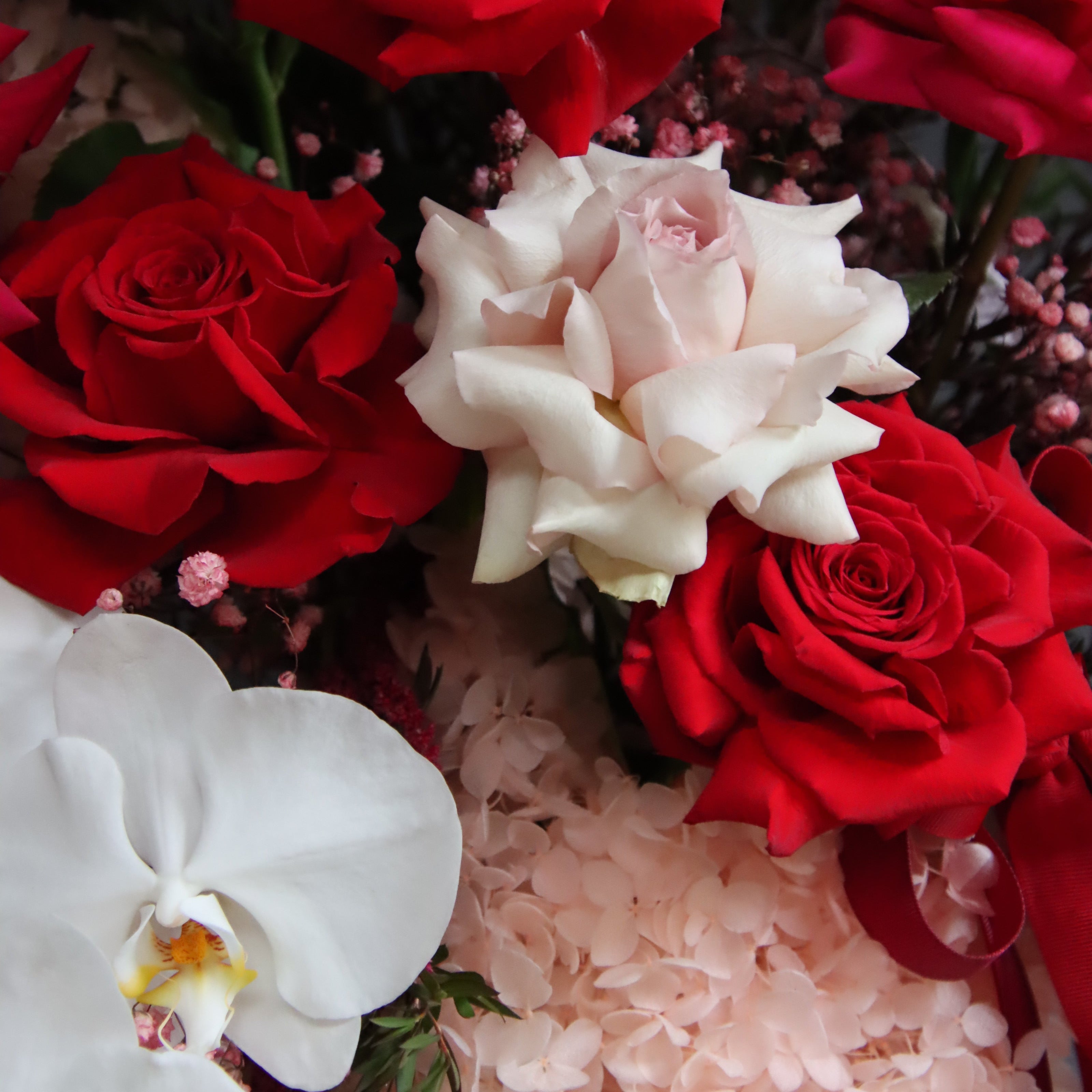 Grand reflexed rose and orchid arrangement in gold glass pot – Ruby by Ivy & Twig Florist
