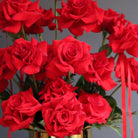 Red reflexed roses arranged in a gold glass pot